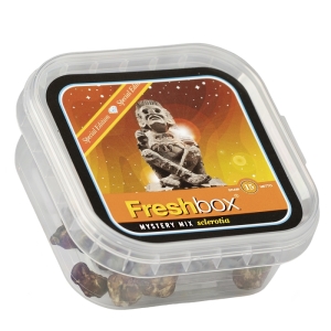 FreshBox Mystery Mix Orange