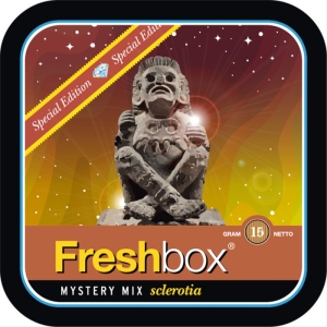 FreshBox Mystery Mix Orange