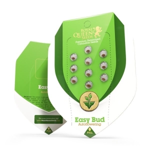 Royal Queen Seeds Easy Bud