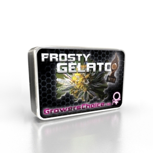 Growers Choice Frosty Gelato