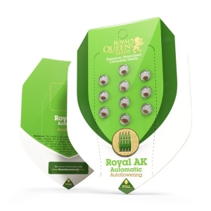 Royal Queen Seeds Royal AK Automatic