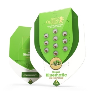 Royal Queen Seeds Royal Bluematic