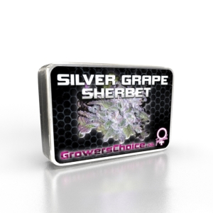 Growers Choice Silver Grape Sherbet