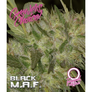 Growers Choice Black M.A.F