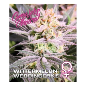 Growers Choice Watermelon Weddingcake