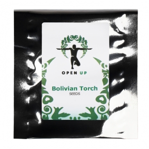 Open Up Antorcha Boliviana 20 semillas