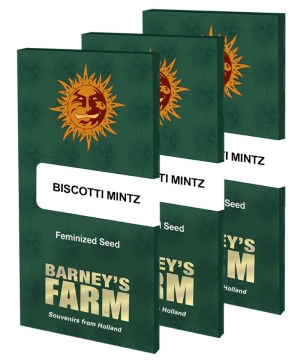 Barney's Farm Biscotti Mintz 