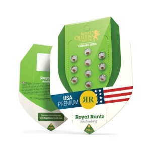 Royal Queen Seeds Royal Runtz auto 