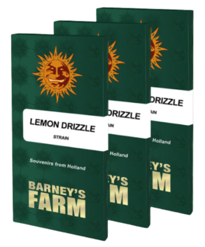 Barney's Farm Lemon Drizzle