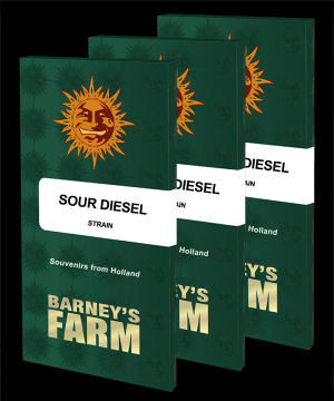 Barney's Farm Sour Diesel