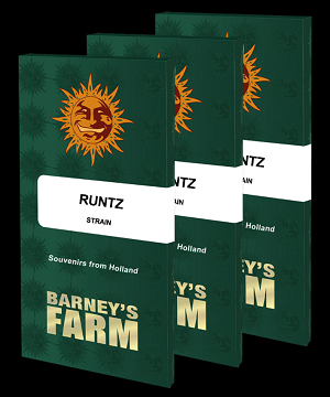 Barney's Farm Samen artikel