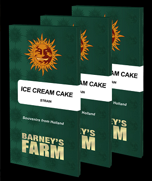 Barney's Farm Ice Cream Cake