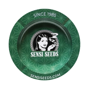 Sensi Seeds Cenicero SSB 