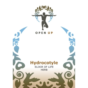 Open Up Hydrocotyle