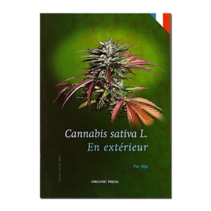 Sin marca Cannabis sativa L. Buiten