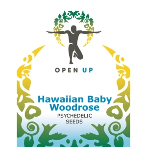 Open Up Hawaiian Baby Woodrose