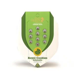 Royal Queen Seeds Royal Cookies Automatic