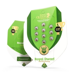 Royal Queen Seeds Royal Dwarf