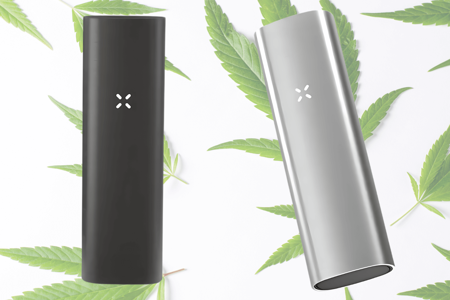 Vaporizador PAX 2 carbón & platino